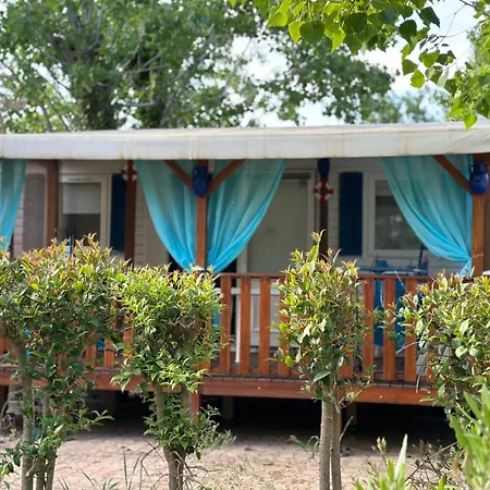 Toad&frog, Le Spot Fun D'agde En Bord De אגדה