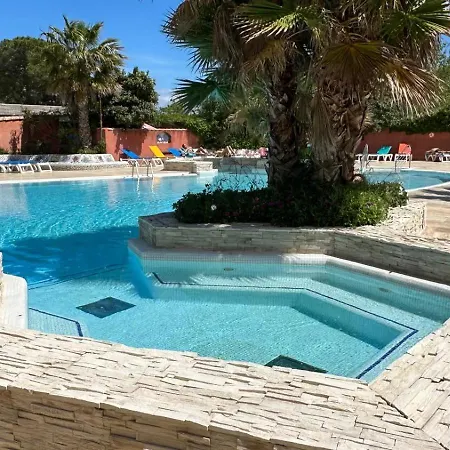 Toad&frog, Le Spot Fun D'agde En Bord De