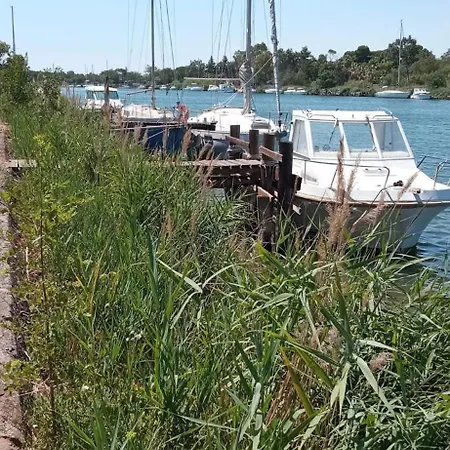 Kemping Toad&frog, Le Spot Fun D'agde En Bord De