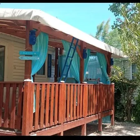 Toad&frog, Le Spot Fun D'agde En Bord De Camping *