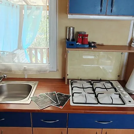 Toad&frog, Le Spot Fun D'agde En Bord De Agde