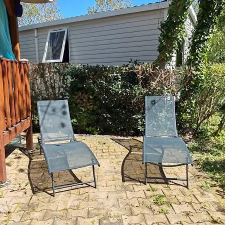 Toad&frog, Le Spot Fun D'agde En Bord De Camping Agde